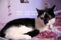 image games-need-more-cats_-less-dogs-jpg