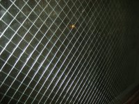image s5003222-jpg