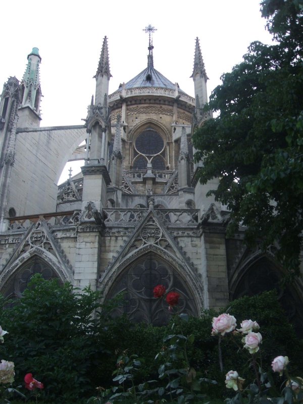 image dscf1055-jpg