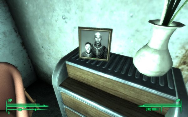 image fallout3-2009-01-14-14-41-43-04-jpg